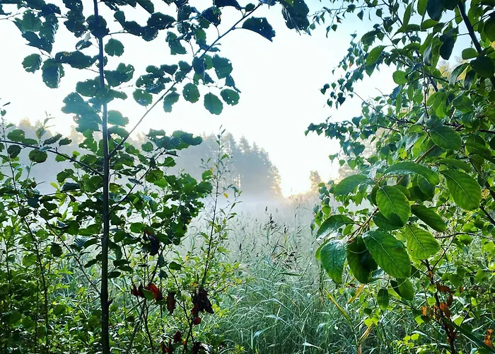 Mustikkalahti Tent & Breakfast * Миккели